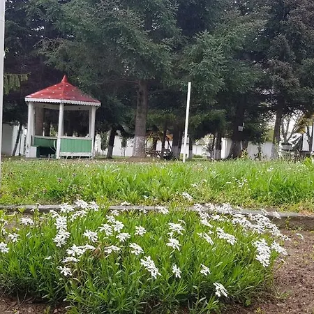 почивна база бъчвата 펜션 비알라